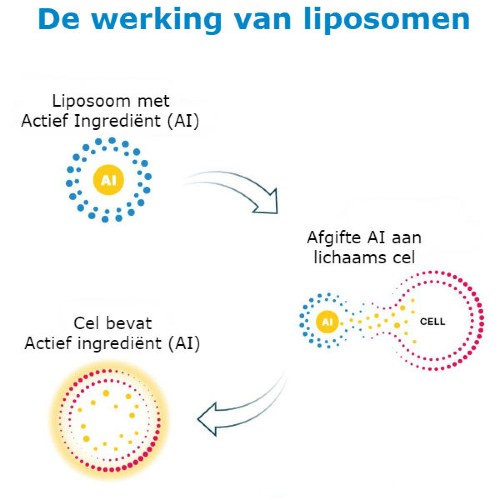 Positief effect van liposomaal quercetine in nieuw onderzoek onder patienten met milde COVID-19